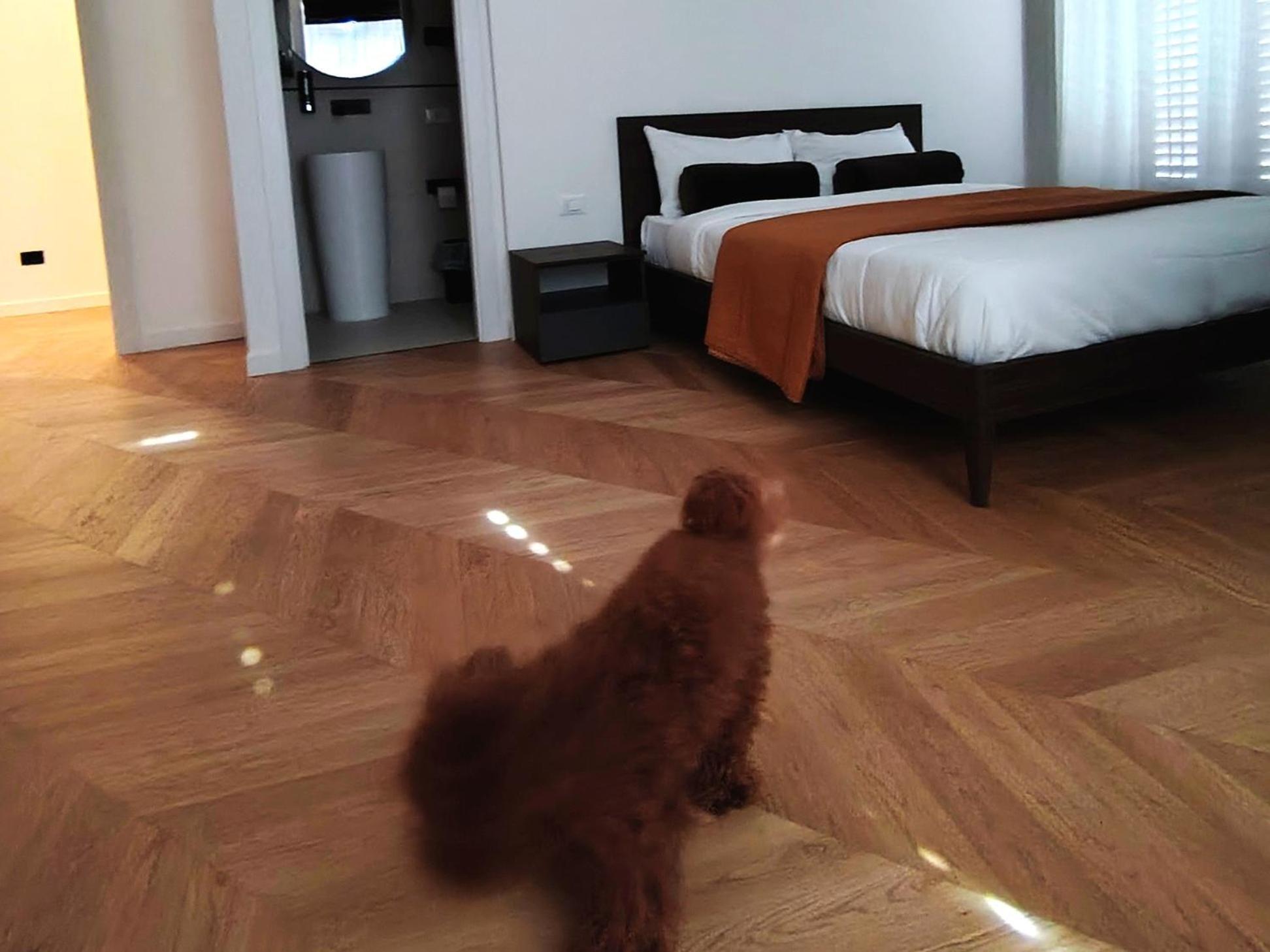 Casa O'tama Apartamento